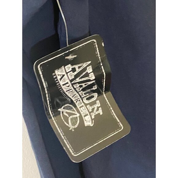 NWT Avalon Apparel Men's Blue graphic Hooded Sweatter - Large - Picture 4 of 13